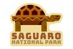 Saguaro National Park, Arizona - Tortoise - Geometric - Contour - Lantern Press Artwork