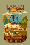 Guadalupe Mountains National Park, Texas - Geometric National Park Series - Contour - Lantern Press Artwork