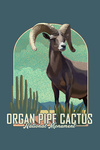 Organ Pipe Cactus National Monument, Arizona - Bighorn Sheep - Litho - Contour - Lantern Press Artwork