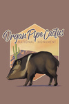 Organ Pipe Cactus National Monument, Arizona - Javelina - Lithograph - Contour - Lantern Press Artwork