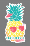 Orlando, Florida - Tropicool - Pineapple - Contour