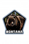 Montana - Grizzly Bear - Scratchboard - Contour