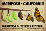 Mariposa, California - Butterfly Festival - Monarch Butterfly Lifecycle - Lantern Press Artwork