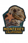 Monterey, California - Mosaic - Sea Otter - Contour