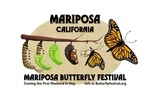 Mariposa, California - Butterfly Festival - Monarch Butterfly Lifecycle - Contour - Lantern Press Artwork