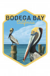 Bodega Bay, California - Brown Pelicans - Contour - Lantern Press Poster