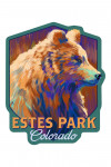 Estes Park, Colorado - Grizzly Bear - Vivid - Contour - Lantern Press Artwork
