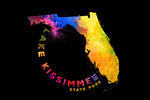 Lake Kissimmee State Park, Florida - State Abstract - Watercolor - Contour - Lantern Press Artwork