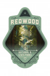 Redwood National and State Parks, California - Painterly National Park Series - Contour