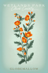Clark County Wetlands Park, Nevada - Vintage Flora - Globemallow - Lantern Press Artwork