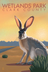 Clark County Wetlands Park, Nevada - Jackrabbit - Lithograph - Lantern Press Artwork