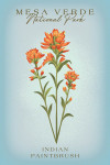 Mesa Verde National Park - Indian Paint Brush - Vintage Flora - Lantern Press Artwork