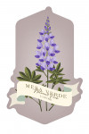 Mesa Verde National Park - Vintage Flora - Lupine - Contour