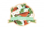 Ohio - Cardinal & Hawthorn Pattern - Contour