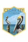 Cedar Key, FL  - Brown Pelicans - Contour