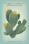 Grand Canyon National Park, Arizona - Prickly Pear - Vintage Flora