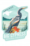 Big Cypress National Preserve, Florida - Anhinga - Graphic Pastel - Contour