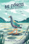 Big Cypress National Preserve, Florida -Purple Gallinule - Graphic Pastel - Lantern Press Artwork