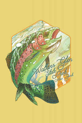 Watkins Glen State Park, New York - Fishing - Underwater Trout - Contour - Lantern Press Artwork
