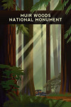Muir Woods National Monument, California - Redwood Forest - Geometric Lithograph