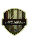 Muir Woods National Monument, California - Redwood Forest - Geometric Lithograph - Contour