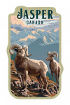Jasper, Canada - Bighorn Sheep - Painterly - Contour