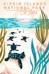 St John, Virgin Islands National Park - Courageous Explorer Collection - Turtles on Beach