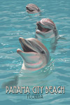 Shell Island, Panama City Beach, Florida - Dolphins
