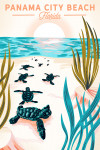 Shell Island, Panama City Beach, Florida - Courageous Explorer - Turtles on Beach