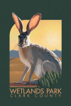 Clark County Wetlands Park, Nevada - Lithograph - Jackrabbit - Contour