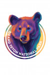 Grand Teton National Park - Vivid - Black Bear - Contour
