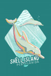 Shell Island, Panama City Beach, Florida - Graphic Pastel - Bottlenose Dolphin - Contour
