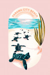 Shell Island, Panama City Beach, Florida - Courageous Explorer - Turtles on Beach - Contour