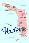 Naples, Florida - Icons - Pink & Blue