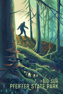 Big Sur, California - Wanderer - Bigfoot in Forest - Pfeiffer Big Sur