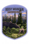 Rocky Mountain National Park, Colorado - Moose & Baby Calf - Contour