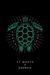 St Marys, Georgia - Turtle