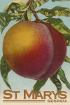 St Marys, Georgia - Peach