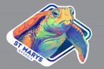 St Marys, Georgia - Vivid - Sea Turtle