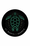 St Marys, Georgia - Turtle - Contour