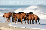 Cumberland Island, Georgia - Photography - Horses on the Beach