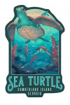 Cumberland Island, Georgia - Painterly - Sea Turtle - Contour