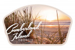 Cumberland Island, Georgia - Photography - Beach and Sunset - Contour