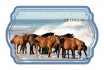 Cumberland Island, Georgia - Photography - Horses on the Beach - Contour