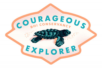 Bald Head Island, North Carolina - Bald Head Island Conservancy - Courageous Explorer - Baby Sea Turtle - Contour