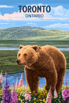Toronto, Ontario - Painterly - Grizzly Bear in Meadow