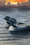 Toronto, Ontario - Loon Family