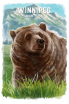 Winnipeg, Manitoba - Watercolor Study - Grizzly Bear