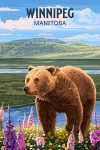 Winnipeg, Manitoba - Painterly - Grizzly Bear in Meadow