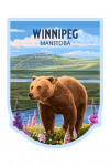 Winnipeg, Manitoba - Painterly - Grizzly Bear in Meadow - Contour